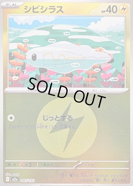 画像1: シビシラス(タイプミラー)【-】｛047/193｝［M2A］ (1)